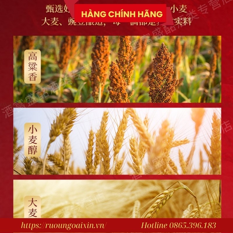 RƯỢU BẠCH THỦY ĐỖ KHANG LONG VÀNG 750 ML 22 Rượu Bạch Thủy Đỗ Khang – Rượu Long Vàng Cao Cấp 52% Dùng Biếu Tặng Sang Trọng