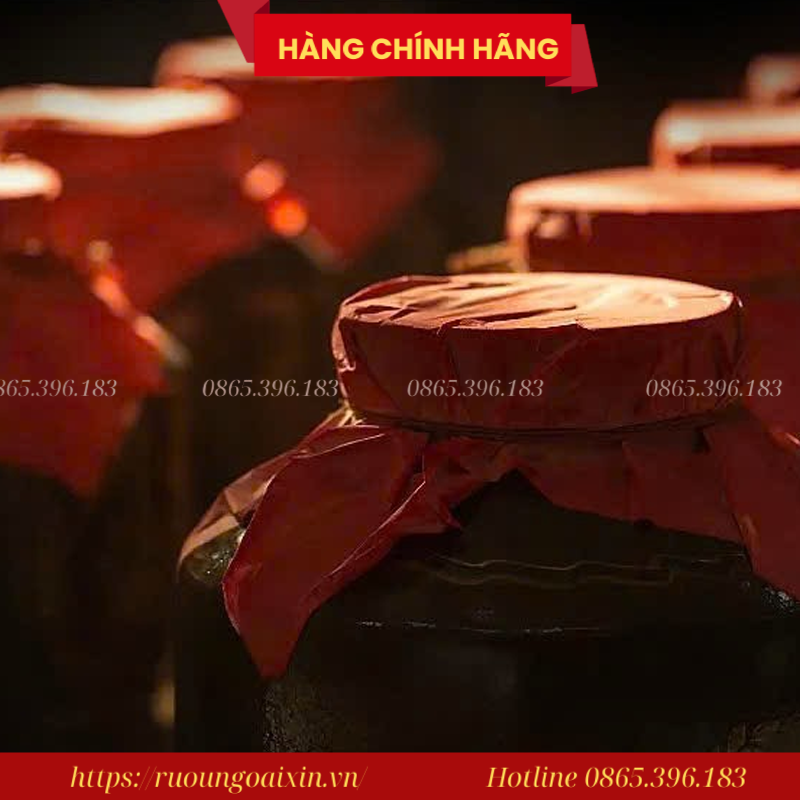 Rượu Vua Giang Tô Nội Địa Trung Chính Hãng 17 Rượu Vua Giang Tô Nội Địa Trung Chính Hãng