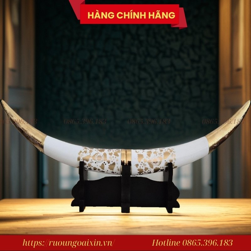 RƯỢU HOÀI TRANG BAISHUIDUKANG 29 Rượu Hoài Trang Baishuidukang