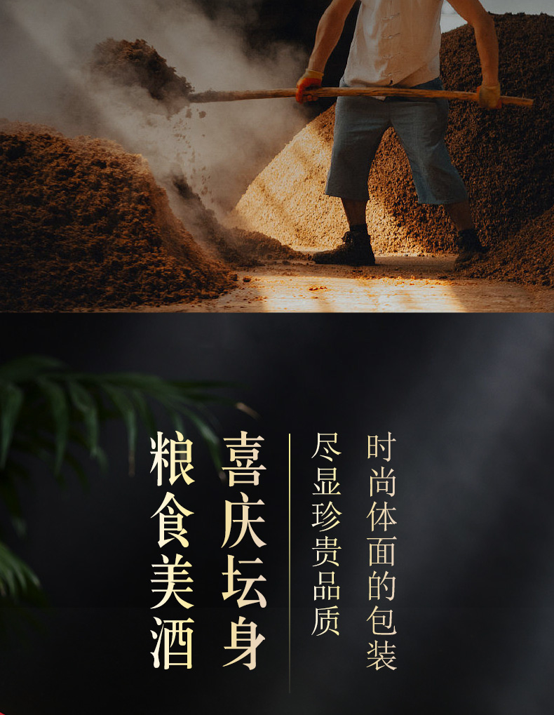 HỘP QUÀ RƯỢU BẠCH THỦY ĐỖ KHANG 31 ruou mao dai bach thuy do khang 16