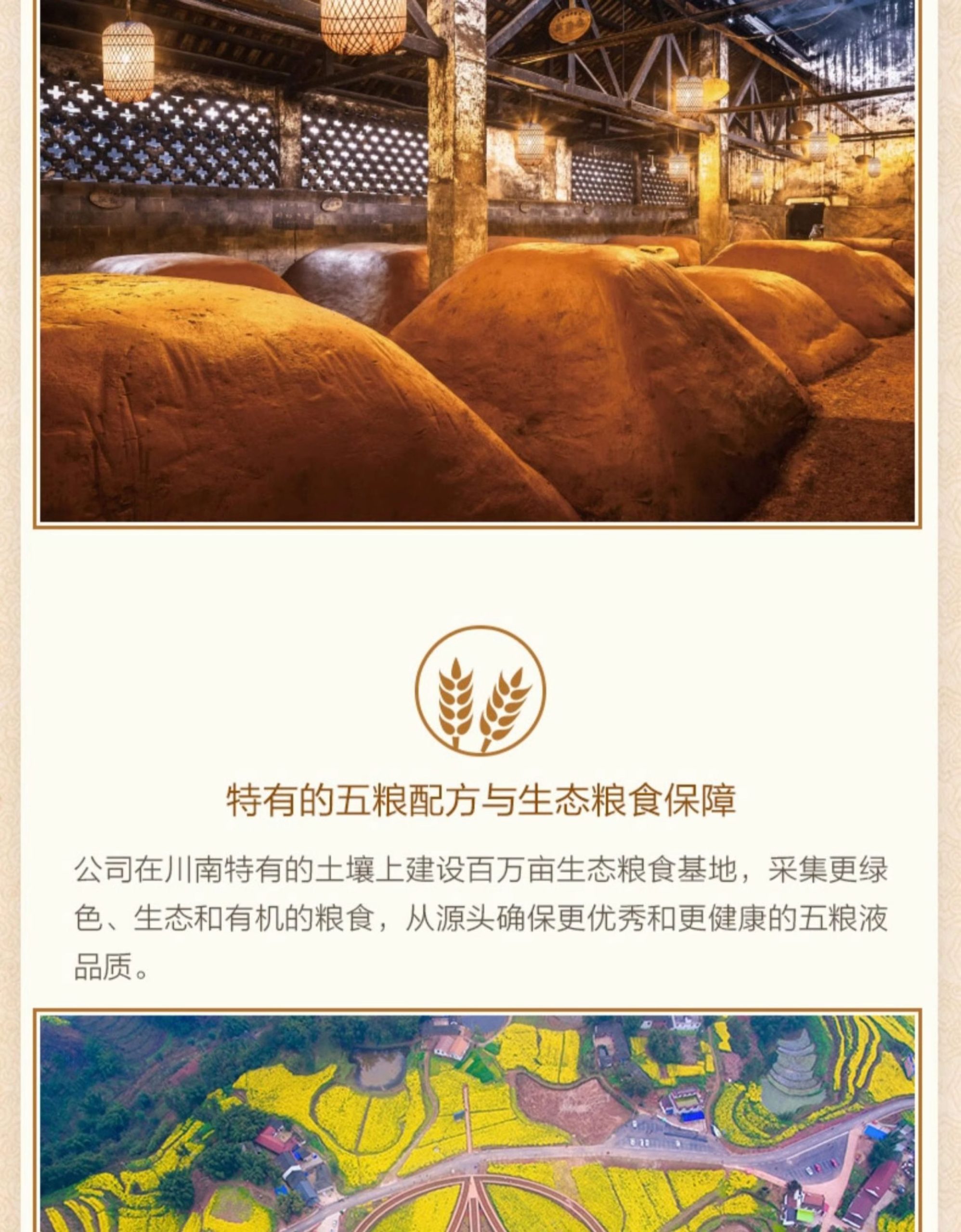 RƯỢU NGŨ LƯƠNG DỊCH CHÍNH HÃNG WULIANGYE 46 ruou ngu luong dich 15 scaled