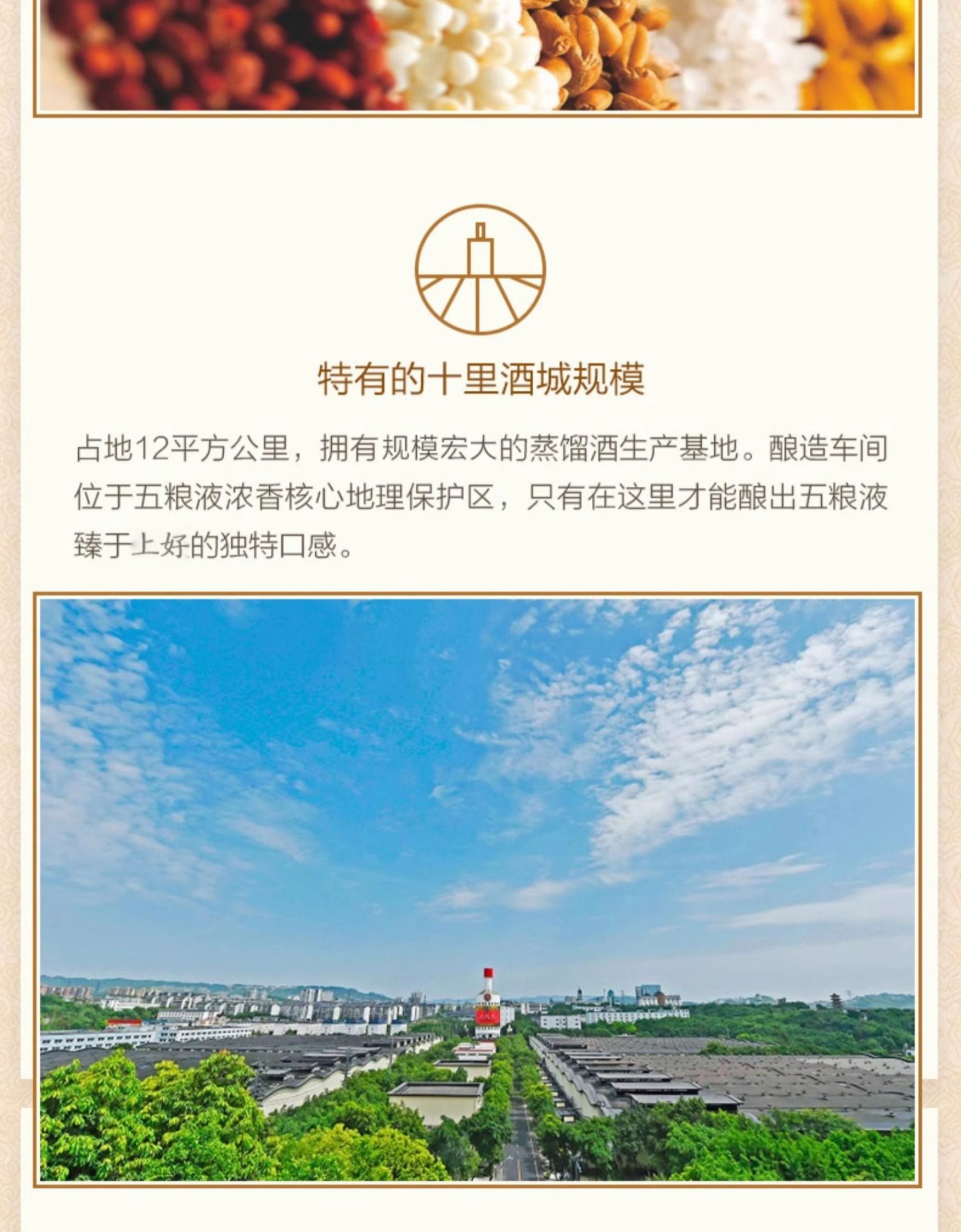 RƯỢU NGŨ LƯƠNG DỊCH CHÍNH HÃNG WULIANGYE 49 ruou ngu luong dich 18 scaled