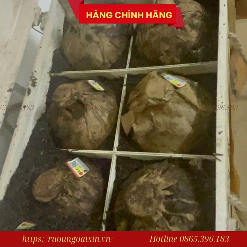 Rượu Mao Đài Hạ Thổ 21 Năm - Bản Chính Hãng Nhà Họ Vương 27 Rượu Mao Đài Hạ Thổ 21 Năm - Bản Chính Hãng Nhà Họ Vương