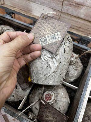 Mua Rượu Mao Đài Hạ Thổ Chính Hãng