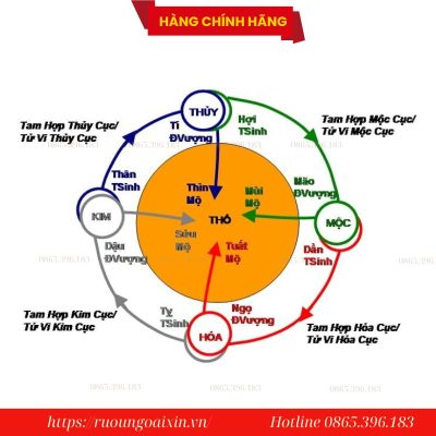 Tam hợp, tứ hành xung là gì? Đặc trưng nhóm tam hợp 12 con giáp