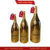 RƯỢU VANG GIACOBAZZI MODENA 60 ANNIVERSARY 9000ML 12 Rượu Vang Giacobazzi Modena 60 Anniversary