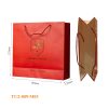 Túi Giấy Đôi Đựng Vang TU2‑009‑M03