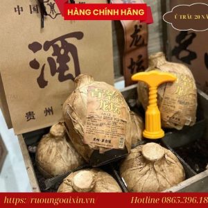 Địa Chỉ Mua Rượu Hạ Thổ 20 Năm Chính Hãng Uy Tín Tại Sài Gòn