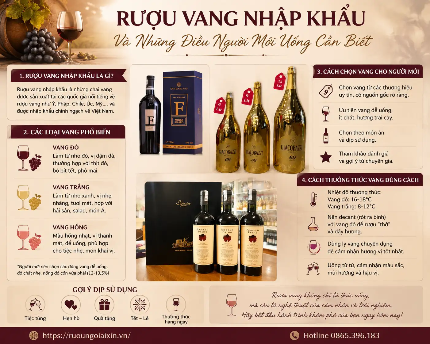 Rượu Vang Nhập Khẩu Và Những Điều Người Mới Uống Cần Biết